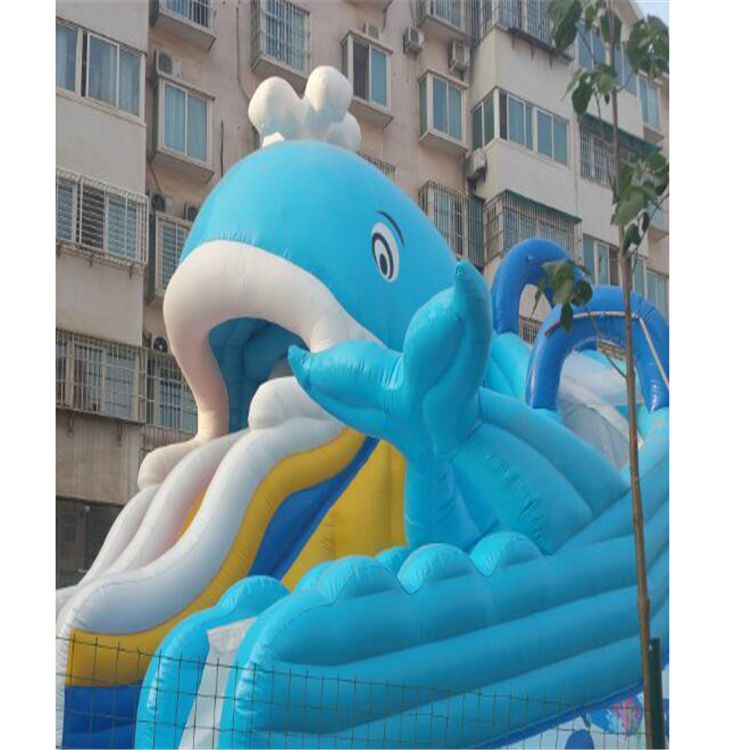 重庆海豚充气水滑梯